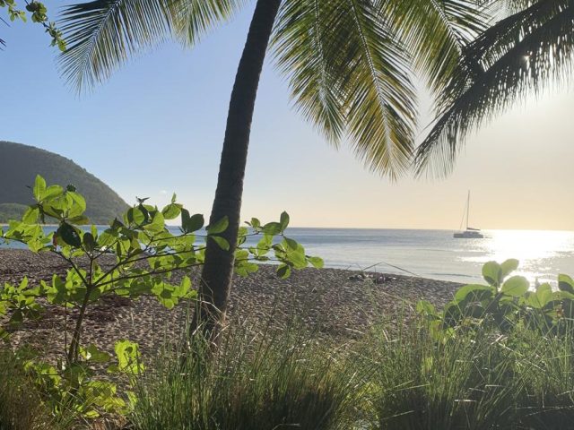 PHOTO GRANDE ANSE (Copy)