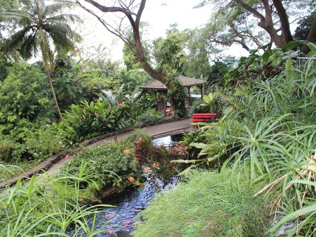 PHOTO JARDIN BOTANIQUE 3 (Copy)