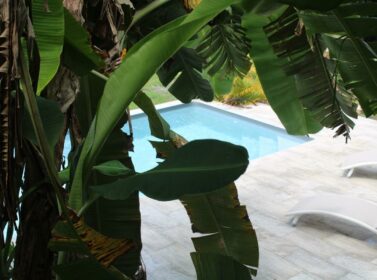 Piscine Deshaies